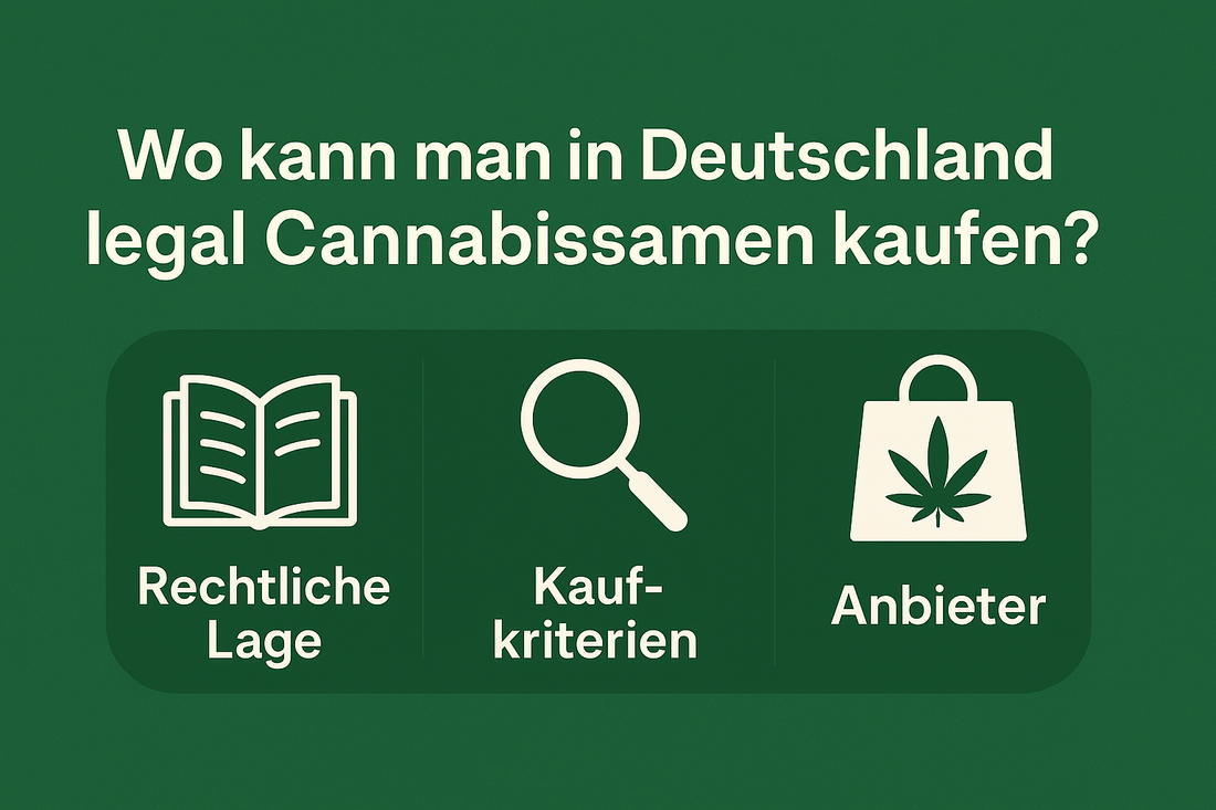 Rechts lage Cannabissamen in Deutschland