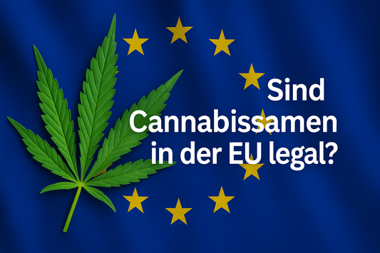 Sind Cannabissamen in der EU legal?