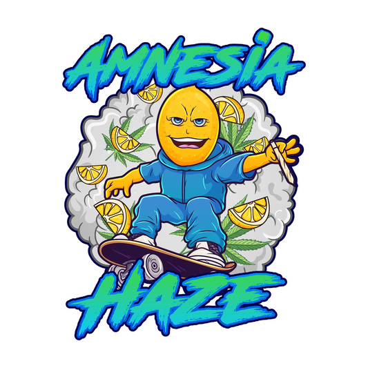 Amnesia Haze Cazybud