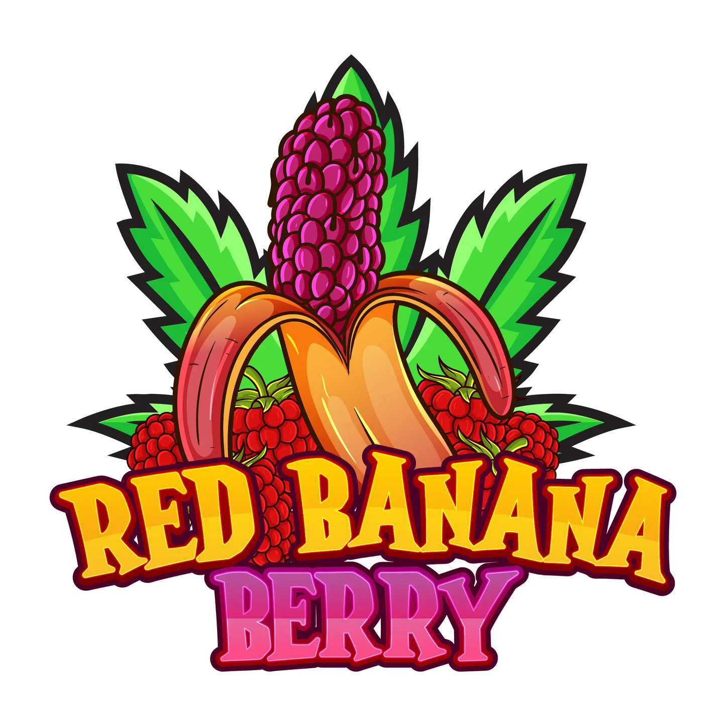 Red Banana Berry Cazybud