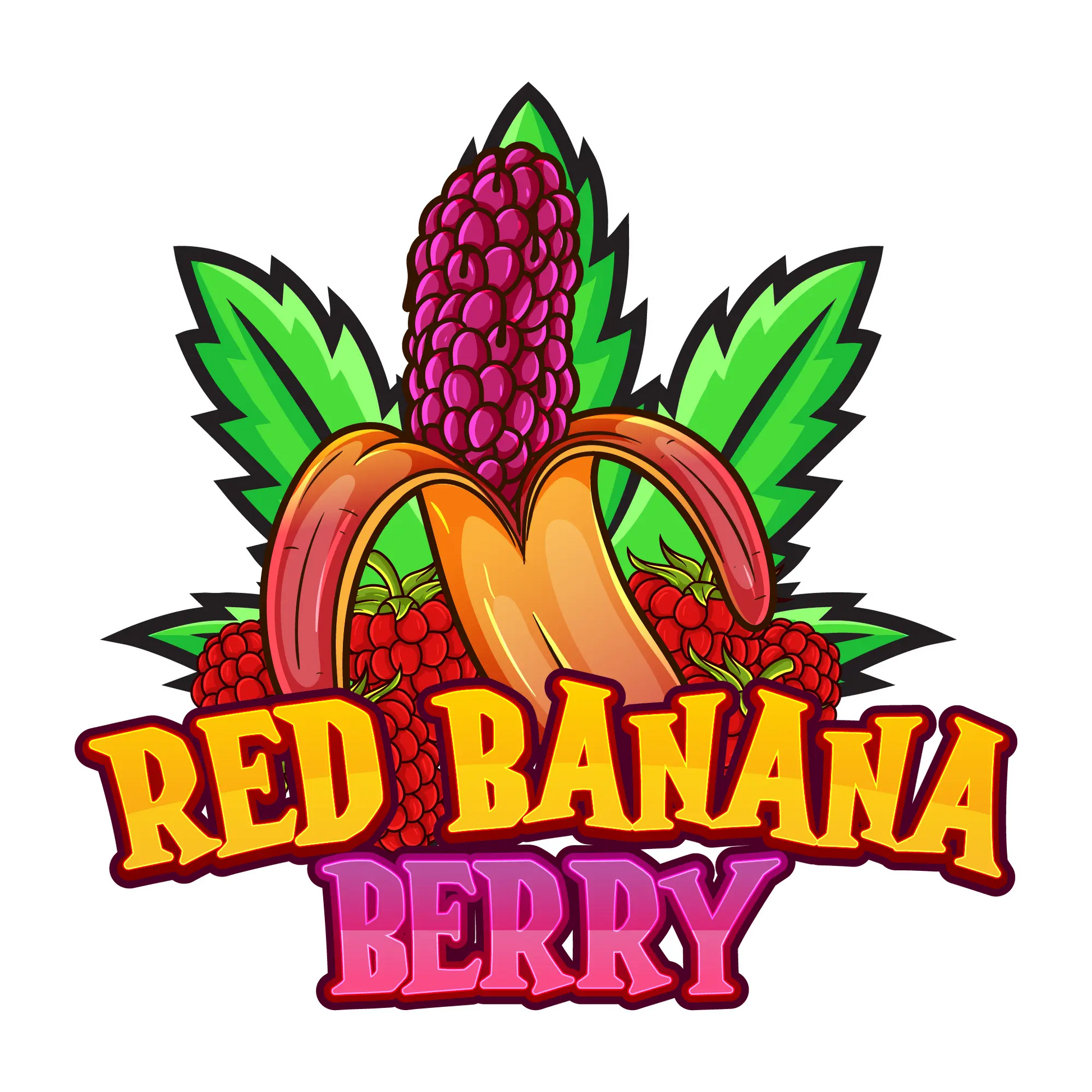 Red Banana Berry Cazybud