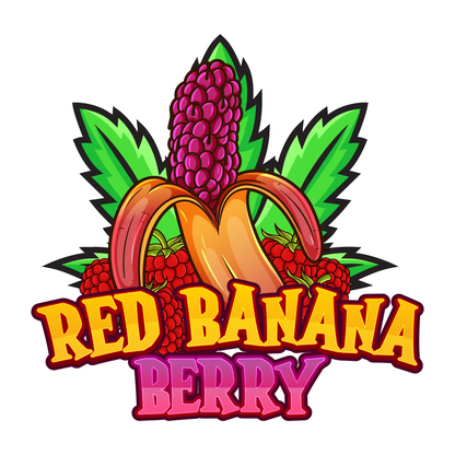 Red Banana Berry Cazybud